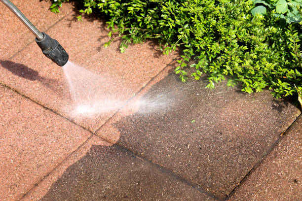 Best Pressure Washing Company Near Me  in Rye Brook, NY